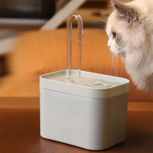 Cat Water Fountain - Auto Filter